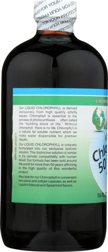 WORLD ORGANIC: Liquid Chlorophyll Mint 50 mg, 16 oz