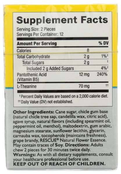 NELSON BACH: Rescue Plus Fresh Mint Gum Natural Flavor, 25 pc