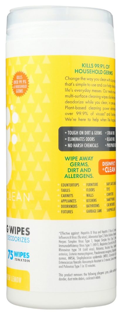 BOULDER CLEAN: Wipes Disinfectant Canist, 75 ea