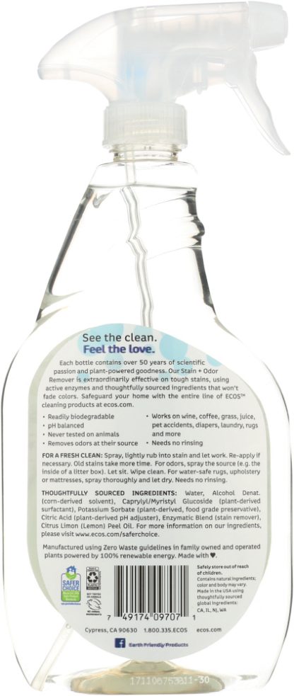 EARTH FRIENDLY: Stain and Odor Remover, 22 oz